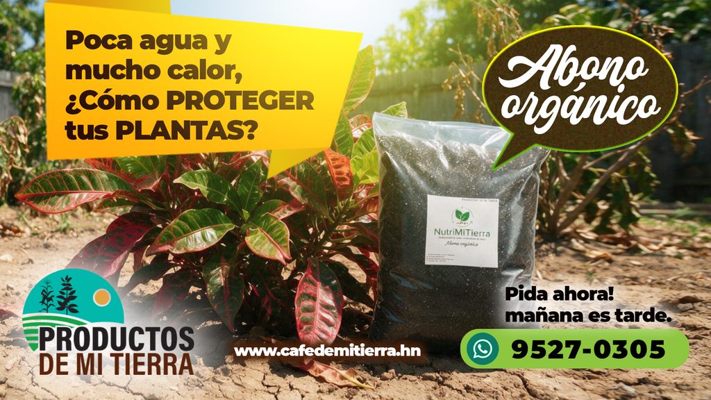 abono-organico-plantas-epoca-seca-productos-de-mi-tierra-cafe
