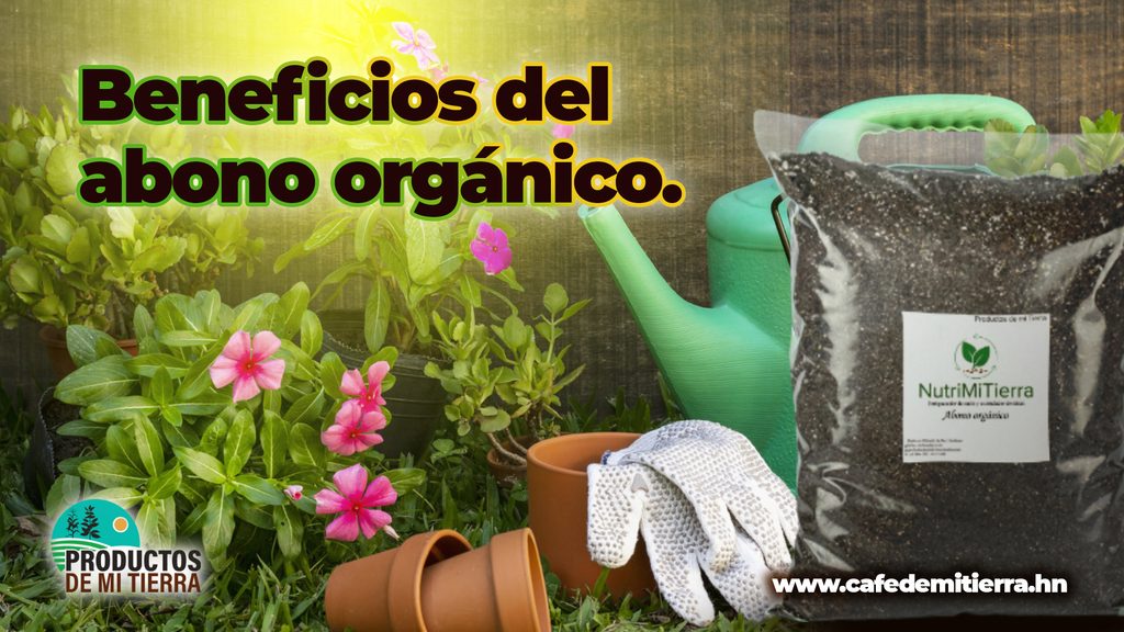 abono-organico-plantas-epoca-seca-productos-de-mi-tierra-cafe