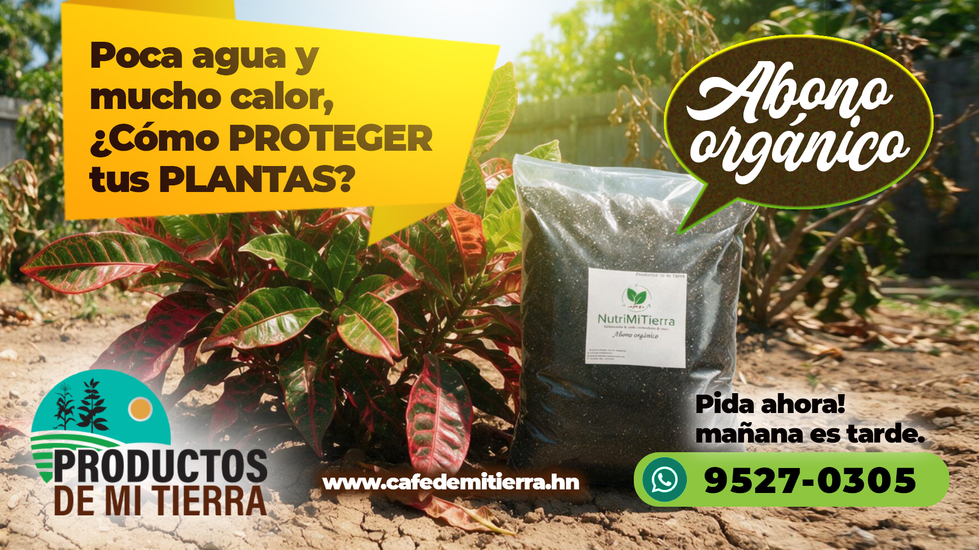 abono-organico-plantas-epoca-seca-productos-de-mi-tierra-cafe
